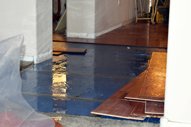 Professional Burst Pipe Cleanup technician working in Delavan, WI